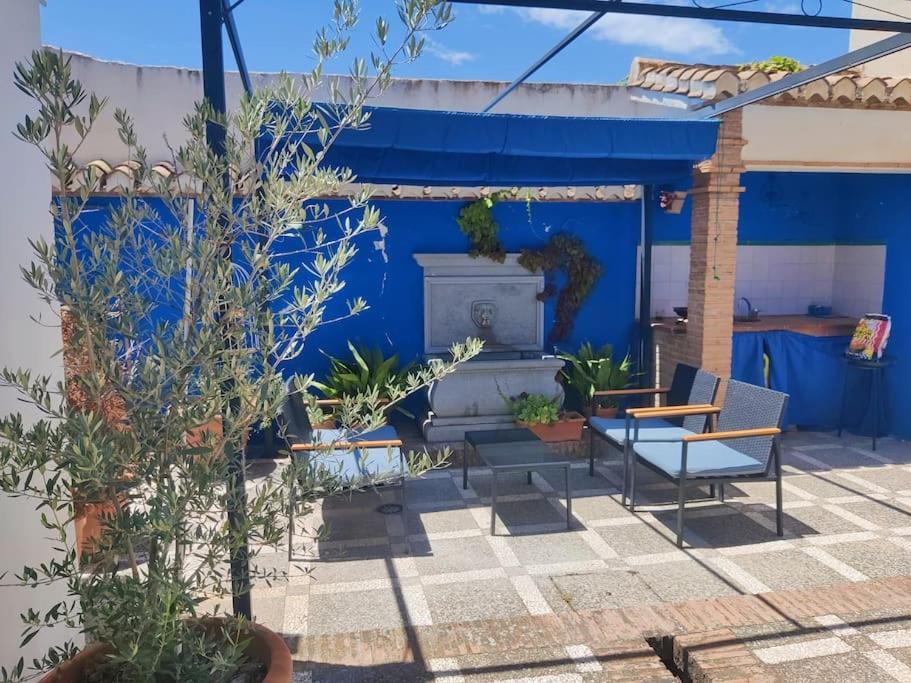 Lolas Cozy Studio Granada Eksteriør billede